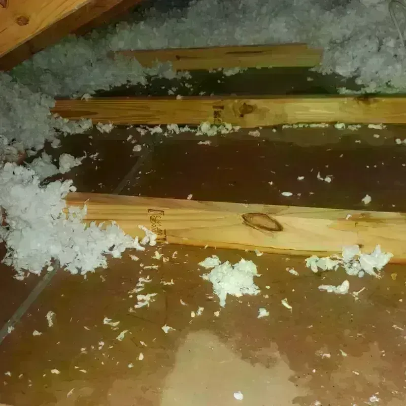 Attic Water Damage in Beaumont, TX