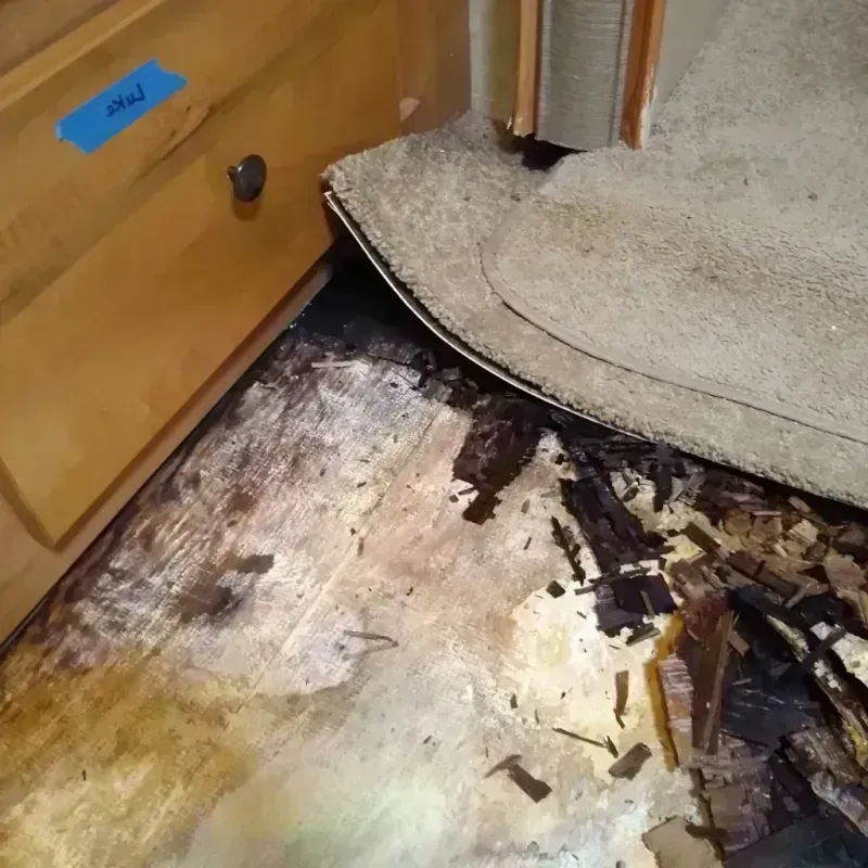 Wood Floor Water Damage in Beaumont, TX